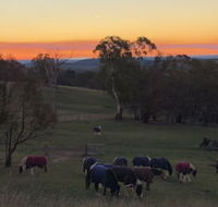 High Country Trail Rides  Farm Stay - Tourism Bookings