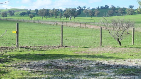 Yea Woodduck Cottage - Events Australia 0