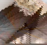 Historic 1890s House With Terraced Backyard Deck H346 - Tourism Bookings