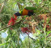 Clifton Beach Retreat - Events Australia