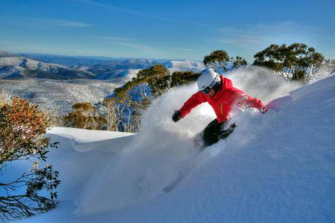 Blue Bird - Events Australia 4