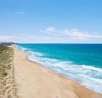 Jimmys Shout Pet Friendly - Events Australia