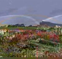 Boat Harbour Garden Cottages - Events Australia