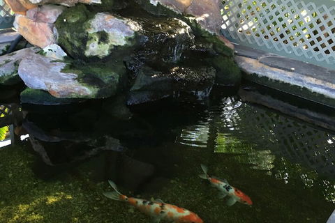 Quality Inn The Willows - Events Australia 3