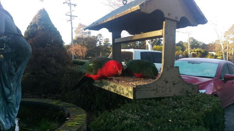 Grand Country Lodge Motel - Tourism Bookings 3