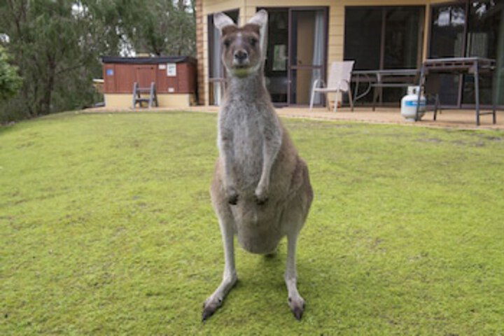 Metricup WA Tourism Bookings