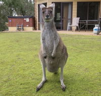 Yelverton Brook Conservation Sanctuary - Events Australia