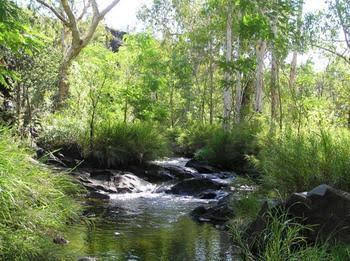 Mt Hart Homestead - Tourism Bookings 4