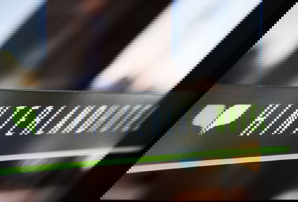 Nerang QLD Tourism Bookings