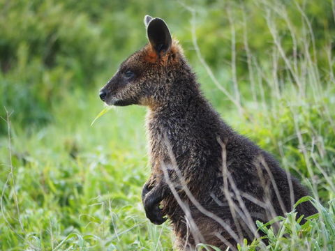 Douglas Riverside - Events Australia 1