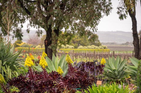 Linger Longer Vineyard Bed & Breakfast - Events Australia 2