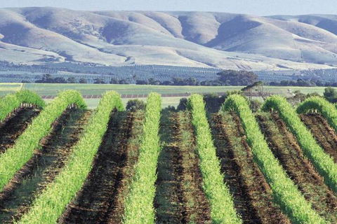 Willunga House - Events Australia 4