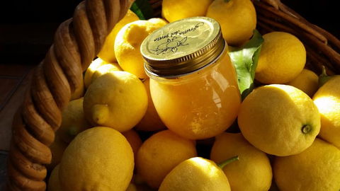 Bellbird Cottage B & B - Tourism Bookings 2