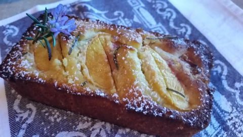 Bellbird Cottage B & B - Tourism Bookings 1