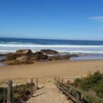 Bellbird Cottage B & B - Tourism Bookings 0