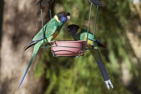 Kathys Place Bed And Breakfast - Events Australia 2