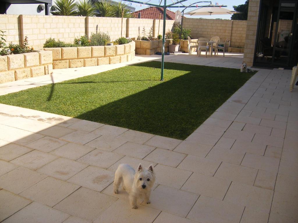 White Gum Valley WA Events Australia