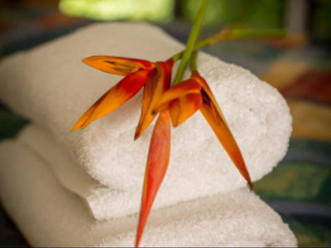 Parap Village Serviced Apartments - Accommodation Europe 1