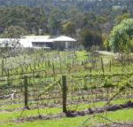 Eureka Farm - Events Australia