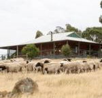 Gilgraves Vineyard Farmstay - Tourism Bookings