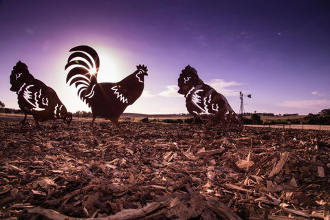 Bukirk Glamping & Tiny Houses - Events Australia 6