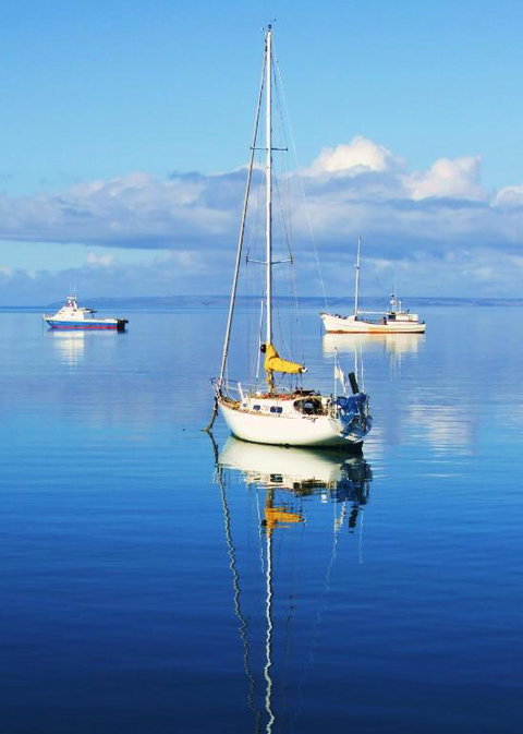 The Hakeas - Events Australia 1