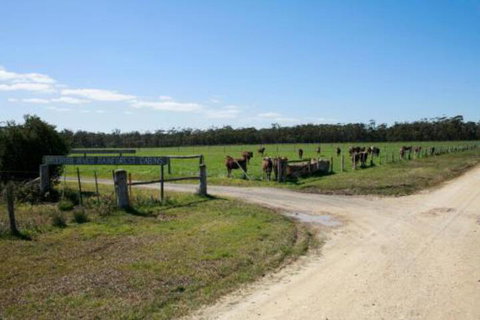 Brodribb River Rainforest Cabins Cabin 3 - Events Australia 7