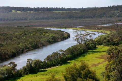 Brodribb River Rainforest Cabins Cabin 3 - Events Australia 5