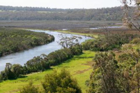 Brodribb River Rainforest Cabins Cabin 1 - Events Australia 4