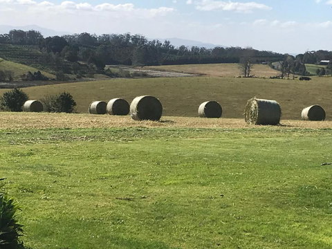 Windrush BnB Comboyne Australia - Events Australia 3