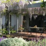Windrush BnB Comboyne Australia - Events Australia 0