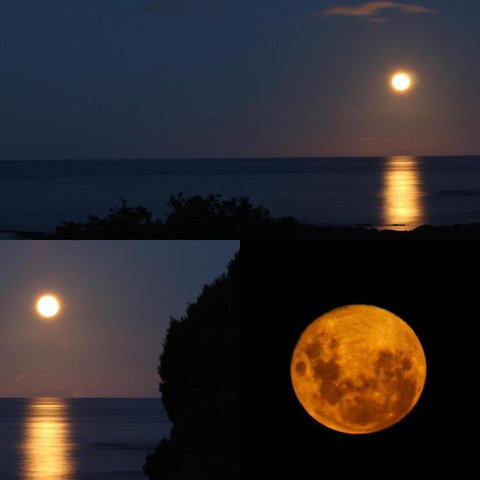 Goat Island Bungalow - Events Australia 1