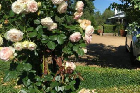 Petschel House - Events Australia 3