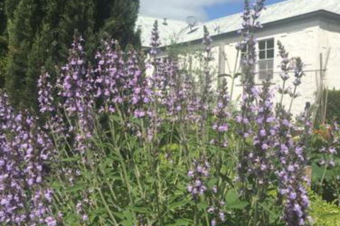 Petschel House - Events Australia 1