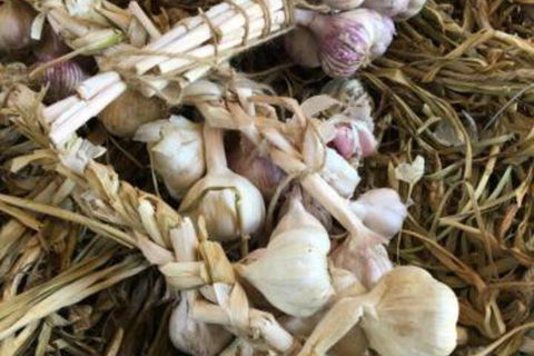 Petschel House - Events Australia 6