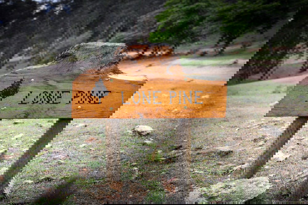 Meroo NSW Events Australia