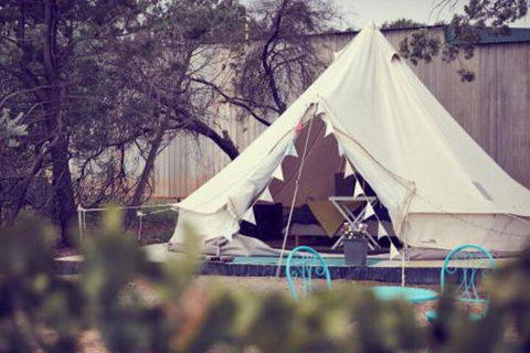 Grapevine Glamping - Tourism Bookings 3