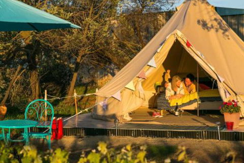 Grapevine Glamping - Tourism Bookings 2