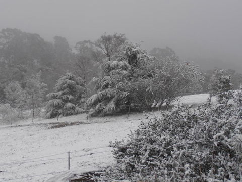 Springmead Rustic Cabin - Events Australia 6