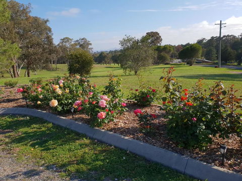 Kandos Fairways Motel - Events Australia 4