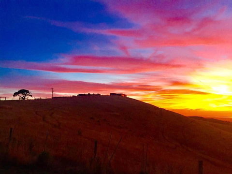 One Tree Hill - Events Australia 1