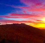 One Tree Hill - Events Australia