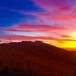 One Tree Hill - Events Australia 0