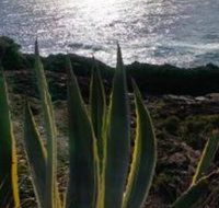 Ven  Marks Place - Events Australia