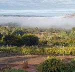 Pecan Hill BNB - Tourism Bookings