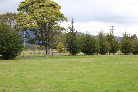 Tiny Cradle At The Good Place - Events Australia 5