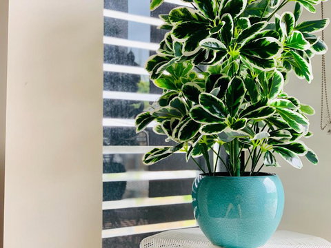 WHITSUNDAY Brand New Townhouse Close To Boardwalk - Events Australia 4