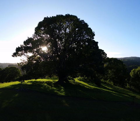 Valleydale Cottage - Events Australia 1