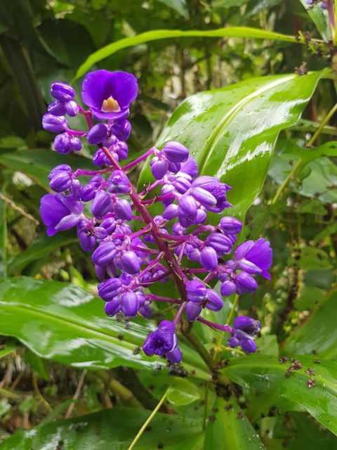 Valleydale Cottage - Events Australia 4