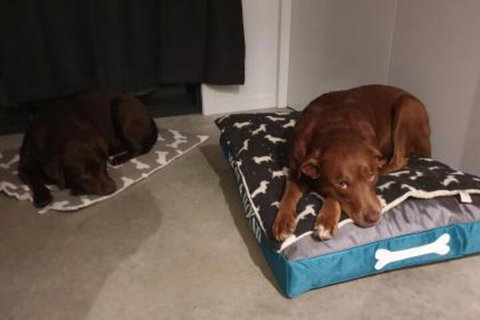 Hoof & Hound Country Escape - Events Australia 2